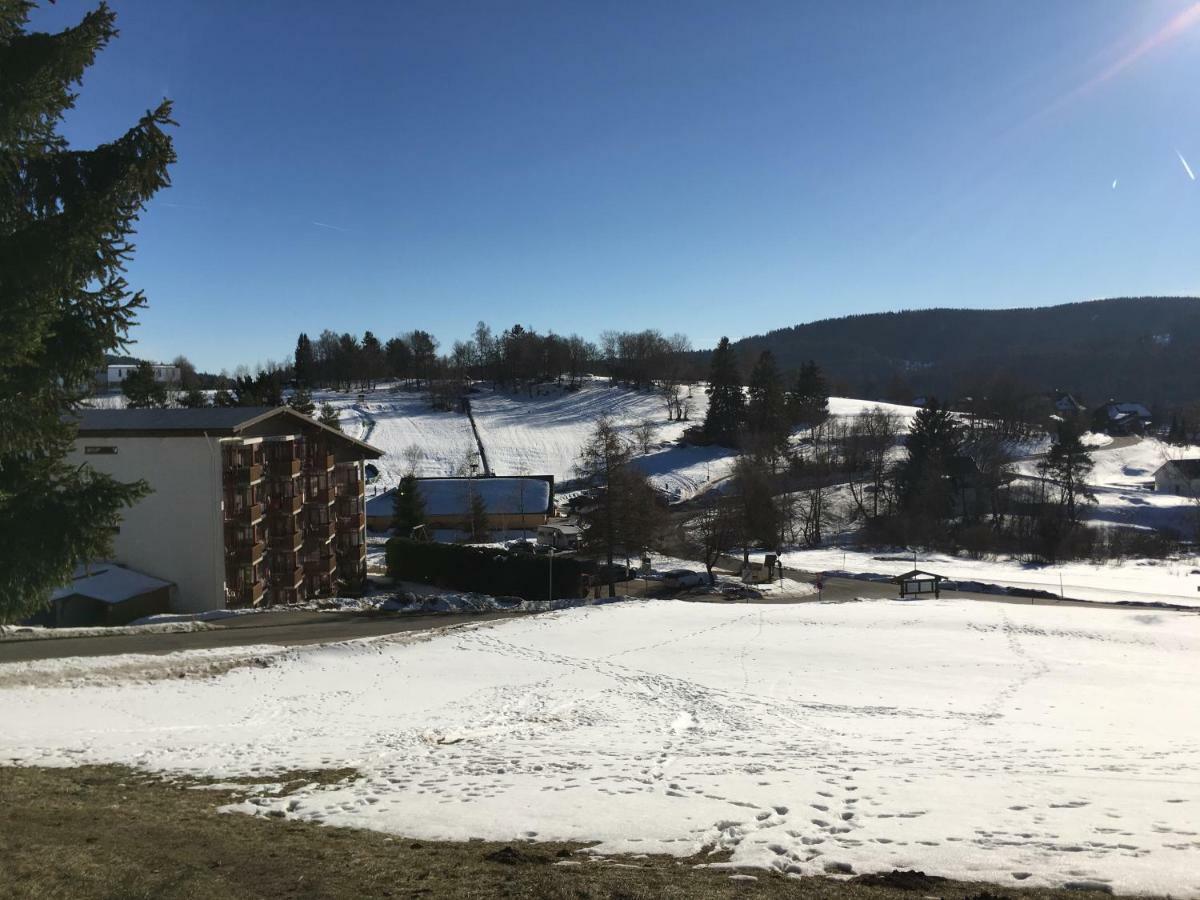 20qm Mit Balkon Und Innenpool - 22040 Apartment Schluchsee
